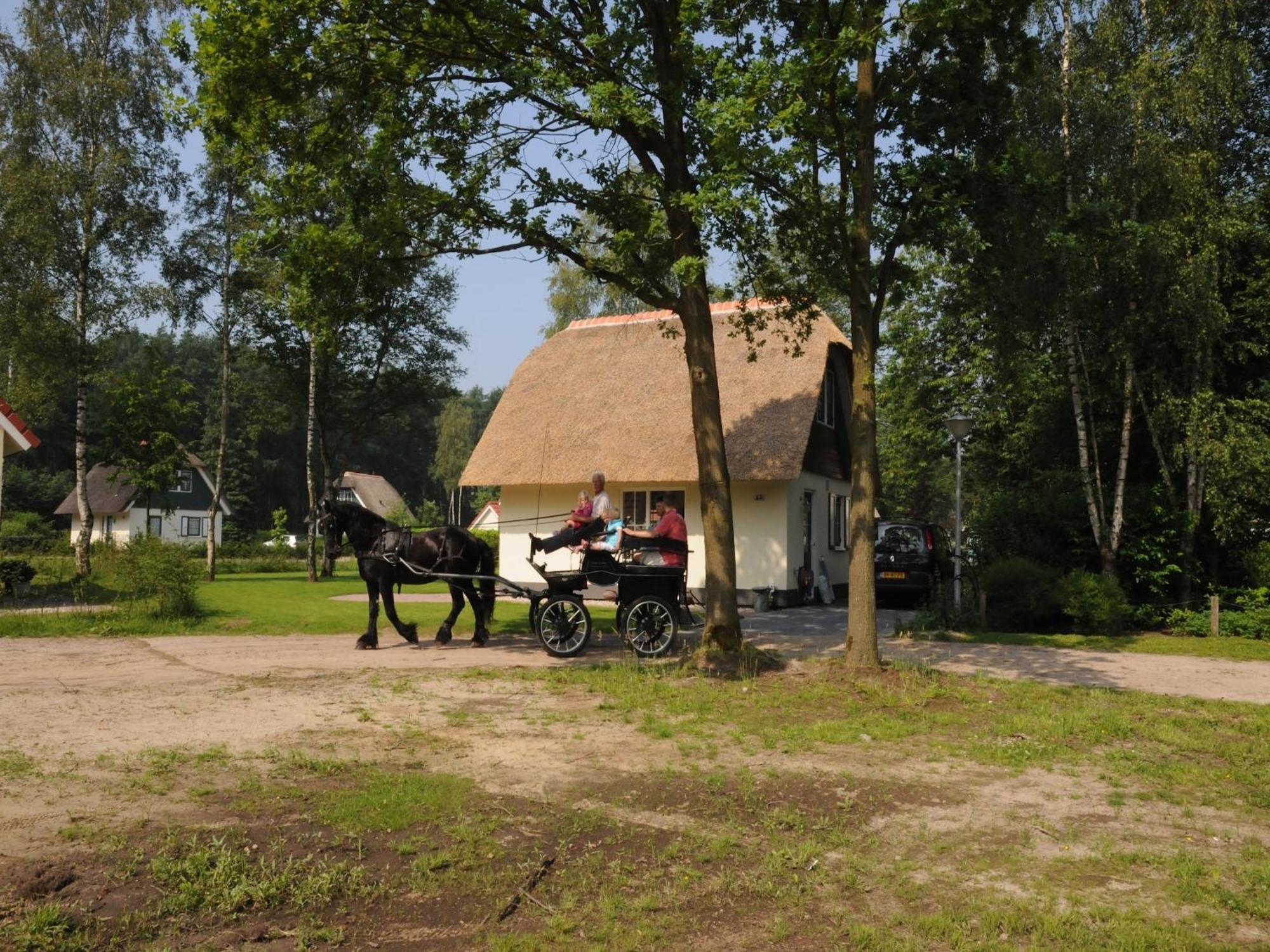 Beautiful Holiday Home In Heeten With Private Garden 外观 照片